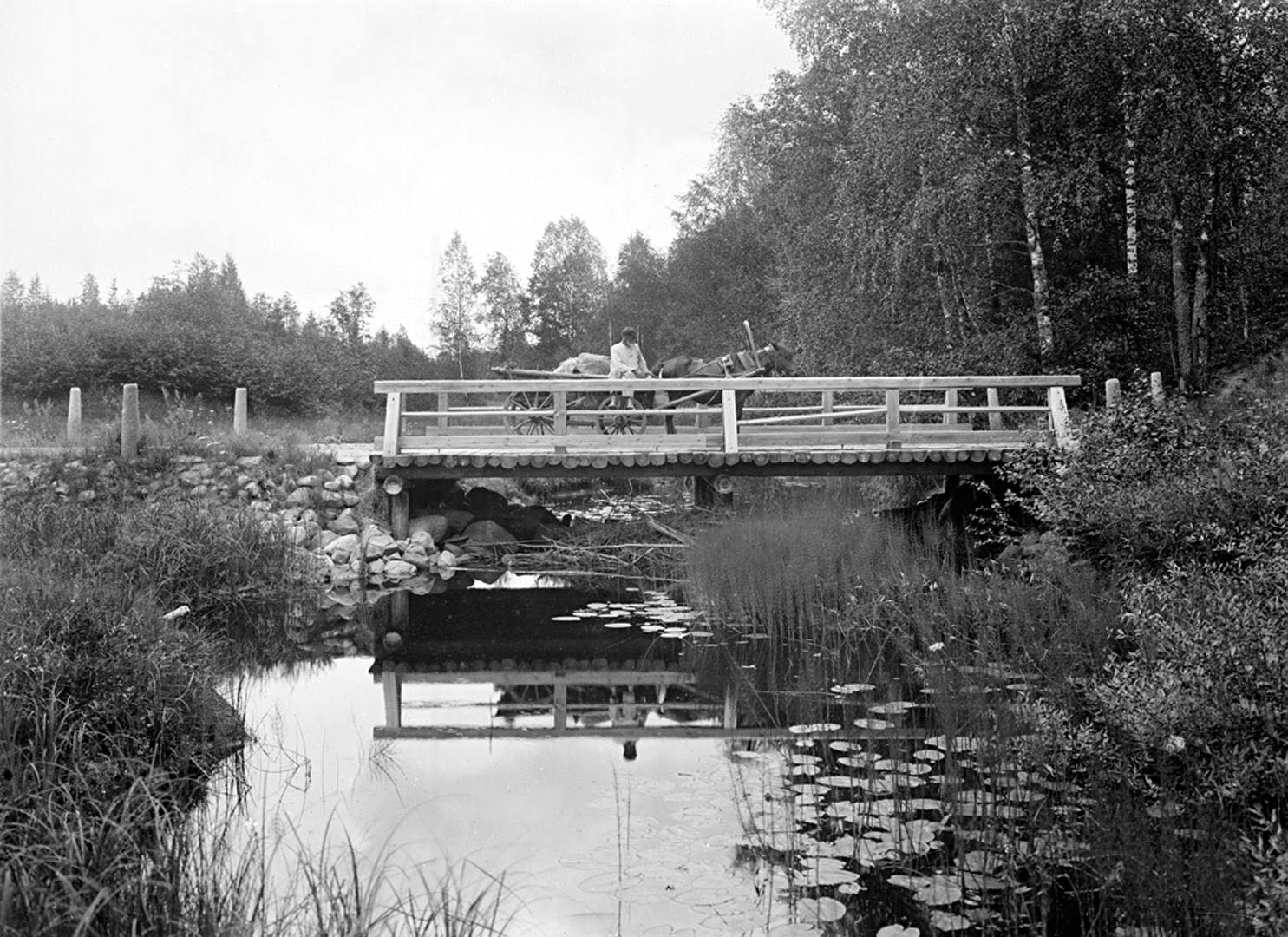 24Общий вид третьего моста через реку Волгу. 1903 г. Тверская губерния.