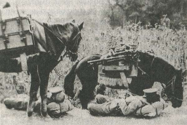 Отдых японской горной батареи (1945 г.)