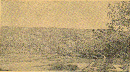 Фото 27. Пежемская заимка, находящаяся в 10 км от Илимска, вверх по р. Илиму