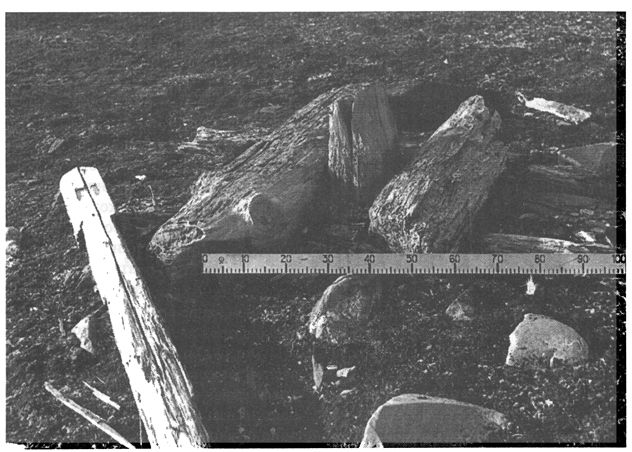 Рис. 40. Остатки крестов в заливе Ван-Майен-фьорд на архипелаге Шпицберген