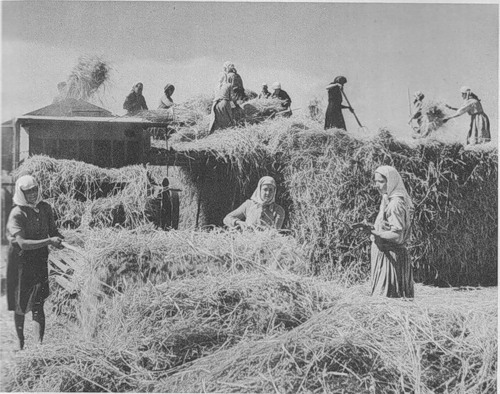Украина 1947. Обмолот пшеницы в  колхозе