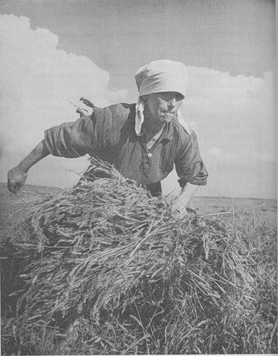 Украина 1947. Крестьянка в поле
