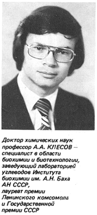 А. Клёсов