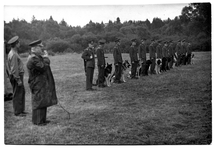 1972 год, Центральная Школа Военного Собаководства